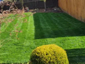 For the greenest yard in the city, we provide high-quality lawn care solutions, including grass cutting, grass seeding and sowing, and even sod installations. 