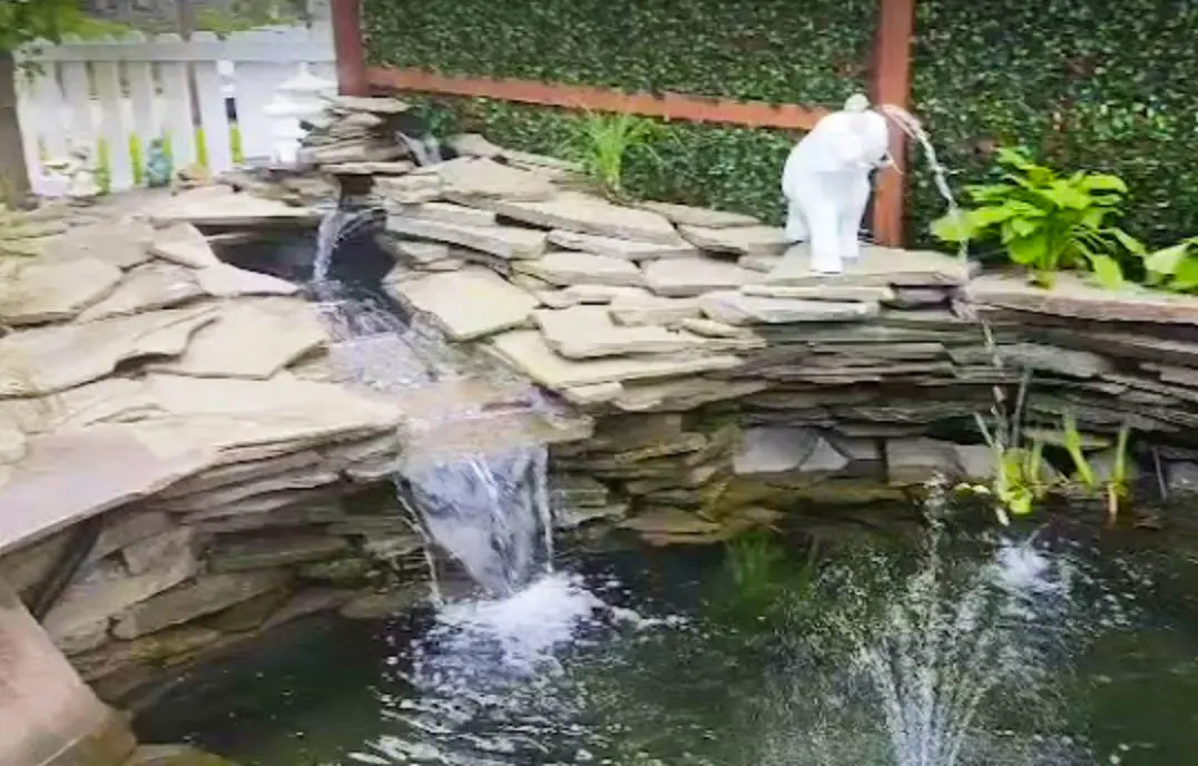 We raise Japanese Koi Fish, Water Gardens and Goldfish for inclusion into the outdoor getaway of your dreams. Let us build a relaxing retreat for you to entertain guests. Pergolas, decks, and picnic areas --- whatever your design, let us build it into your final landscape design. 