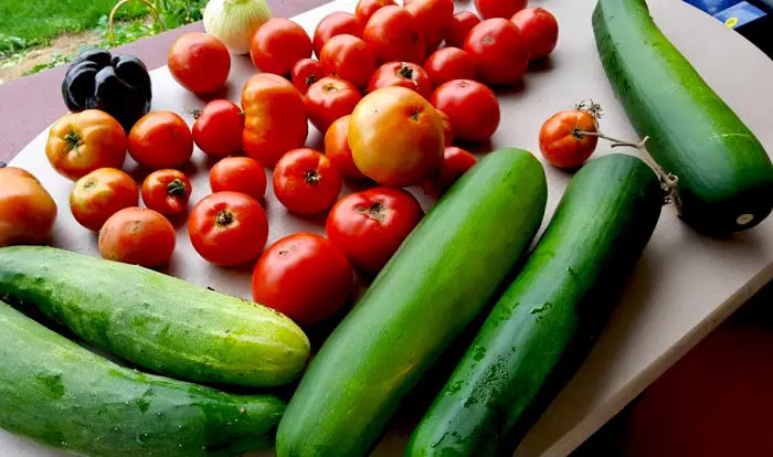 Cut back on that grocery bill with whole foods and organic foods grown right in your backyard. From vegetable gardens to edible landscapes, let us help you get started on the road to healthy food habits and better lifestyle choices.